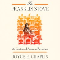 THE FRANKLIN STOVE