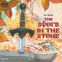 THE SWORD IN THE STONE