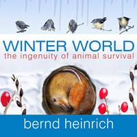 WINTER WORLD