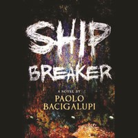 SHIP BREAKER