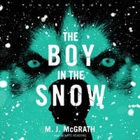 THE BOY IN THE SNOW