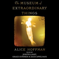 THE MUSEUM OF EXTRAORDINARY THINGS