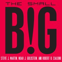 THE SMALL BIG