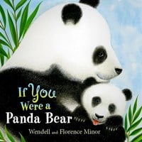 IF YOU WERE A PANDA BEAR