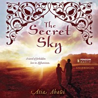 THE SECRET SKY