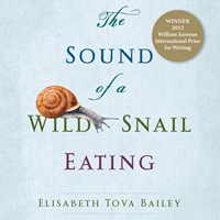 THE SOUND OF A WILD SNAIL EATING