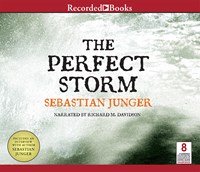 THE PERFECT STORM