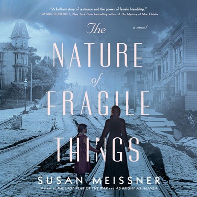 THE NATURE OF FRAGILE THINGS