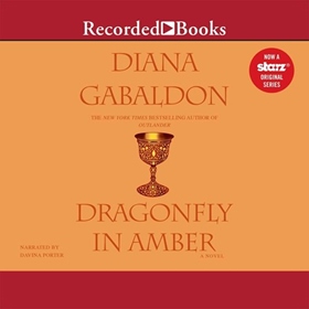 DRAGONFLY IN AMBER