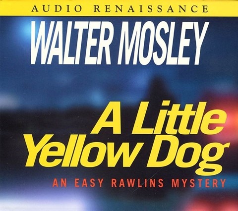 A LITTLE YELLOW DOG