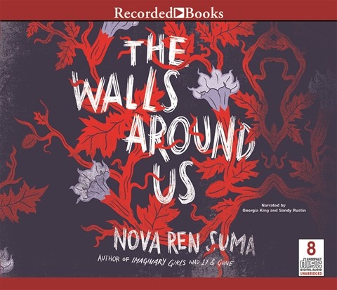 THE WALLS AROUND US