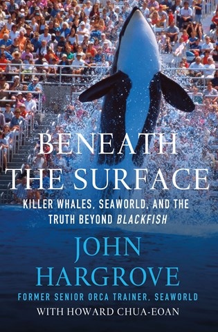 BENEATH THE SURFACE