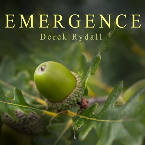 EMERGENCE