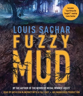 FUZZY MUD