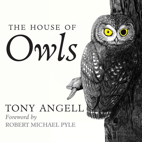 THE HOUSE OF OWLS