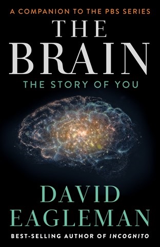 THE BRAIN