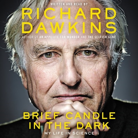 BRIEF CANDLE IN THE DARK  