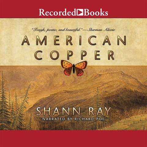 AMERICAN COPPER