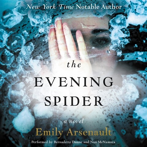 THE EVENING SPIDER