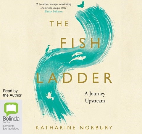 THE FISH LADDER