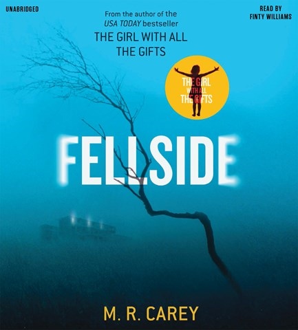 FELLSIDE 