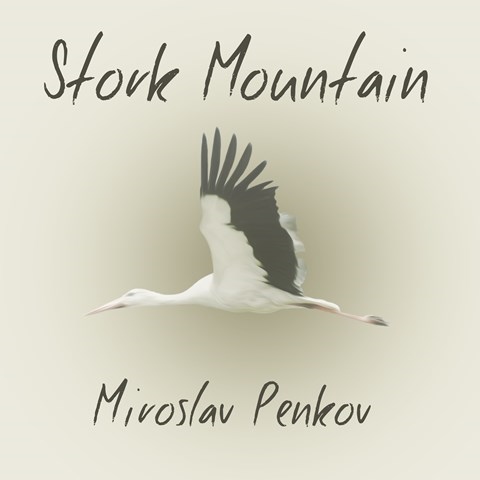 STORK MOUNTAIN
