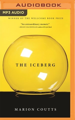 THE ICEBERG