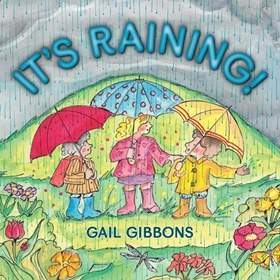 IT'S RAINING