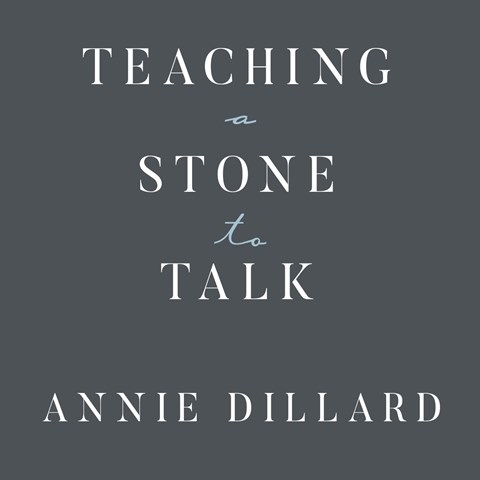 TEACHING A STONE TO TALK