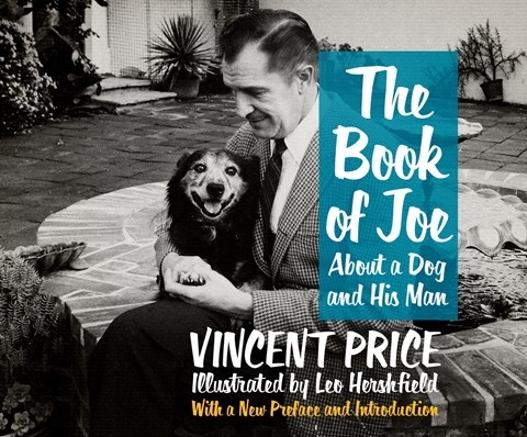 THE BOOK OF JOE