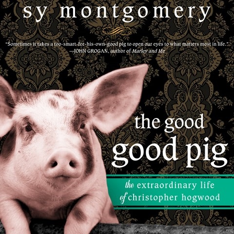 THE GOOD GOOD PIG