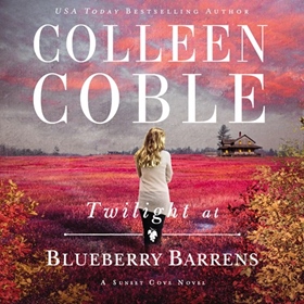 TWILIGHT AT BLUEBERRY BARRENS 