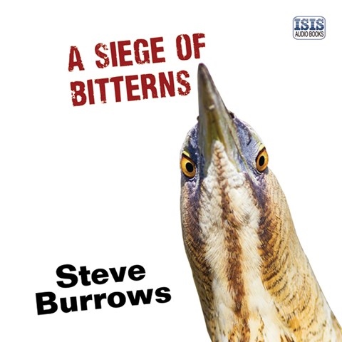 A SIEGE OF BITTERNS