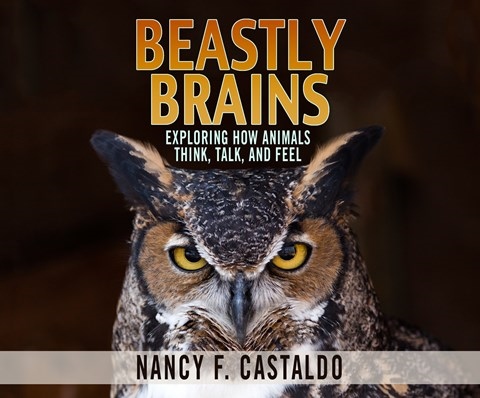 BEASTLY BRAINS