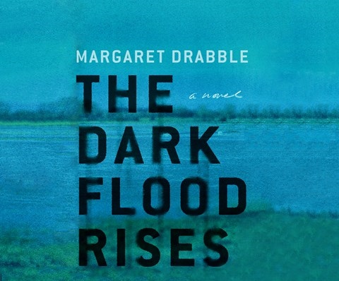 THE DARK FLOOD RISES
