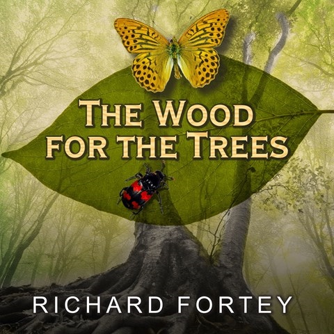 THE WOOD FOR THE TREES
