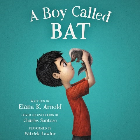 A BOY CALLED BAT