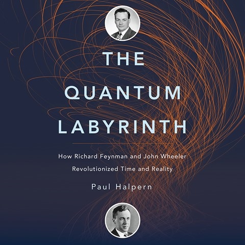 THE QUANTUM LABYRINTH
