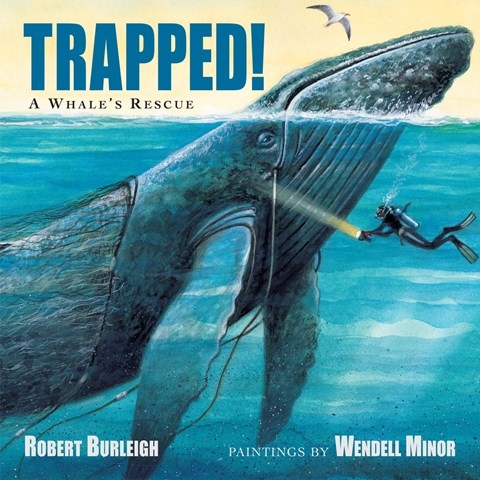 TRAPPED! A WHALE'S RESCUE