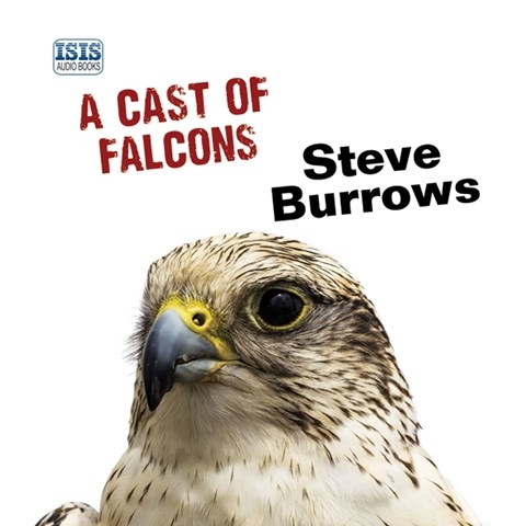 A CAST OF FALCONS