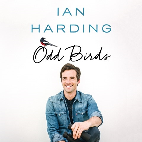 ODD BIRDS
