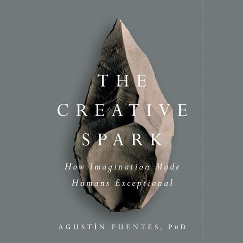 THE CREATIVE SPARK