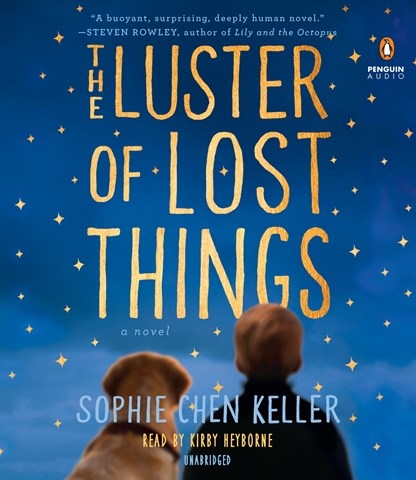 THE LUSTER OF LOST THINGS