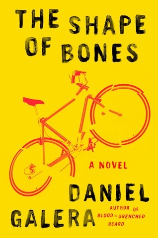 THE SHAPE OF BONES