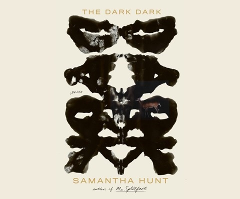 THE DARK DARK