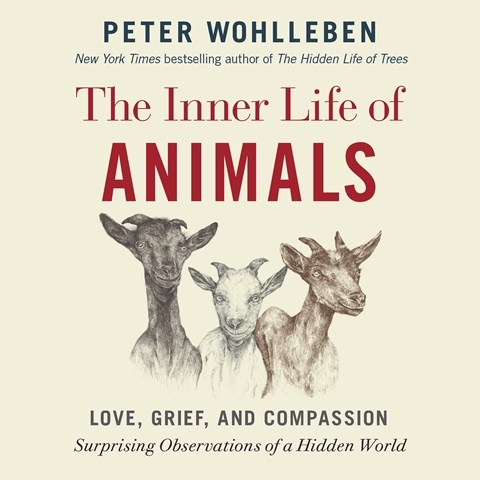 THE INNER LIFE OF ANIMALS