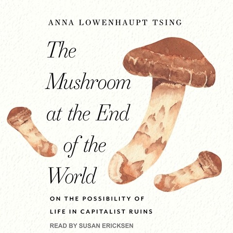 THE MUSHROOM AT THE END OF THE WORLD