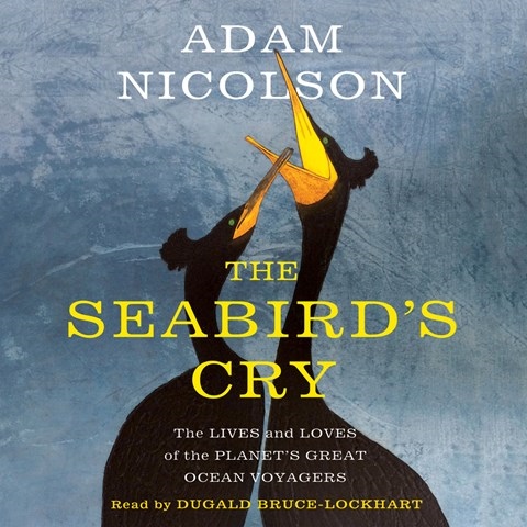 THE SEABIRD'S CRY