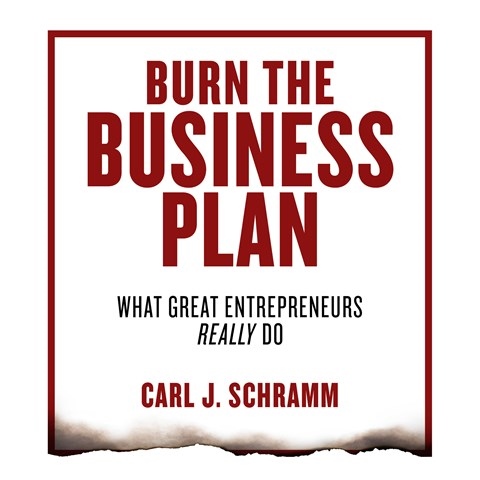 BURN THE BUSINESS PLAN