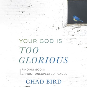 YOUR GOD IS TOO GLORIOUS